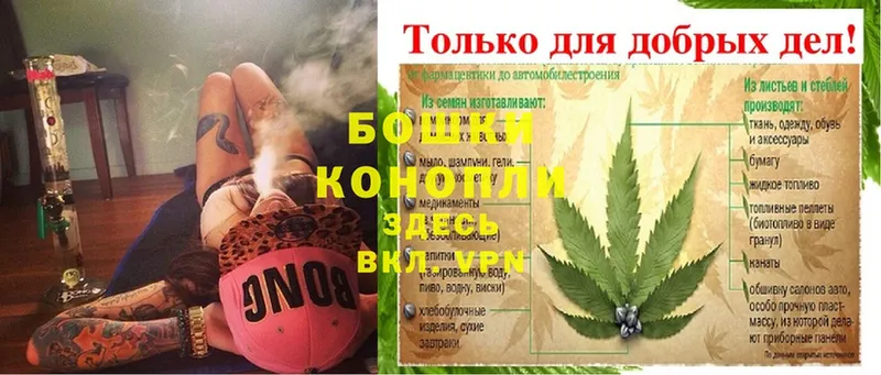 где купить наркоту  Горячий Ключ  Конопля THC 21% 